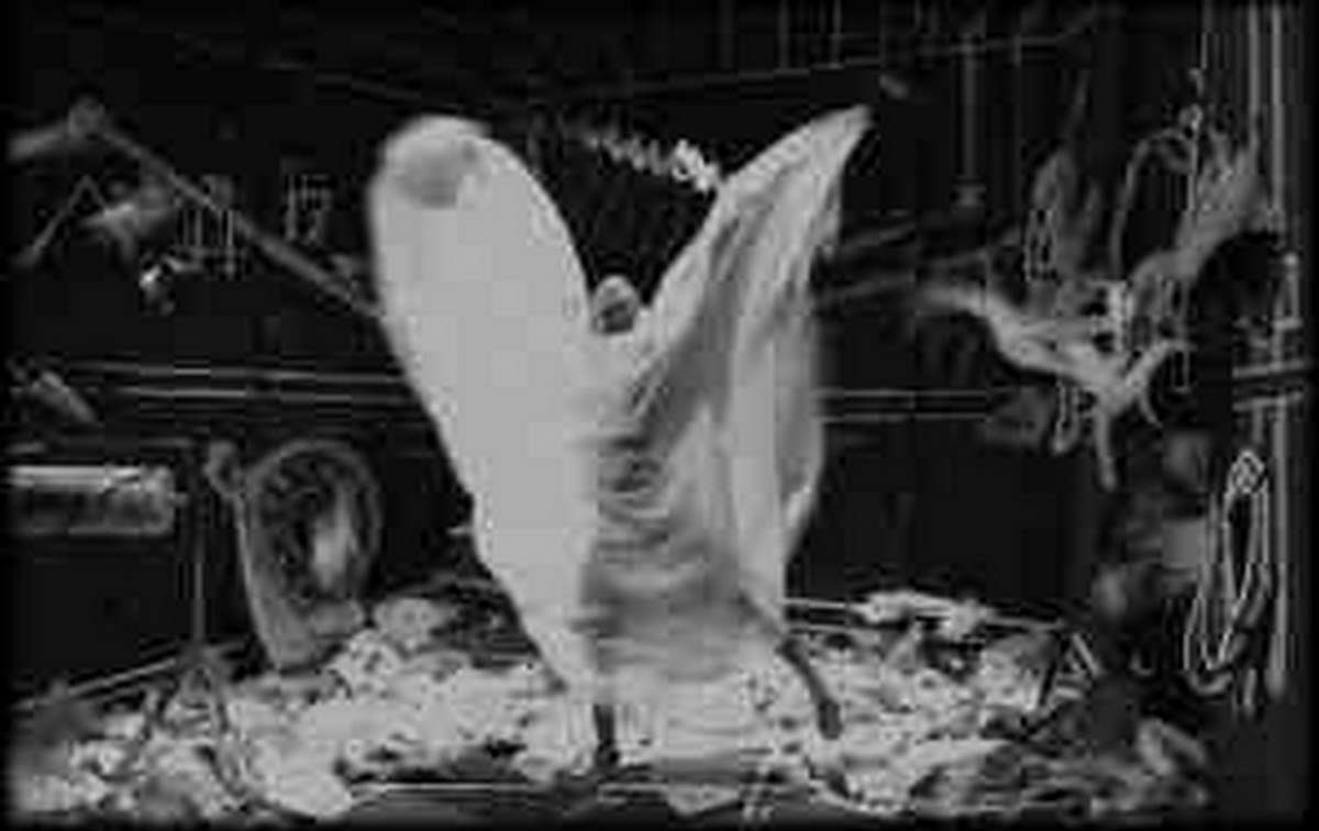 Threadbare Labour film festival in Bangalore RITZ