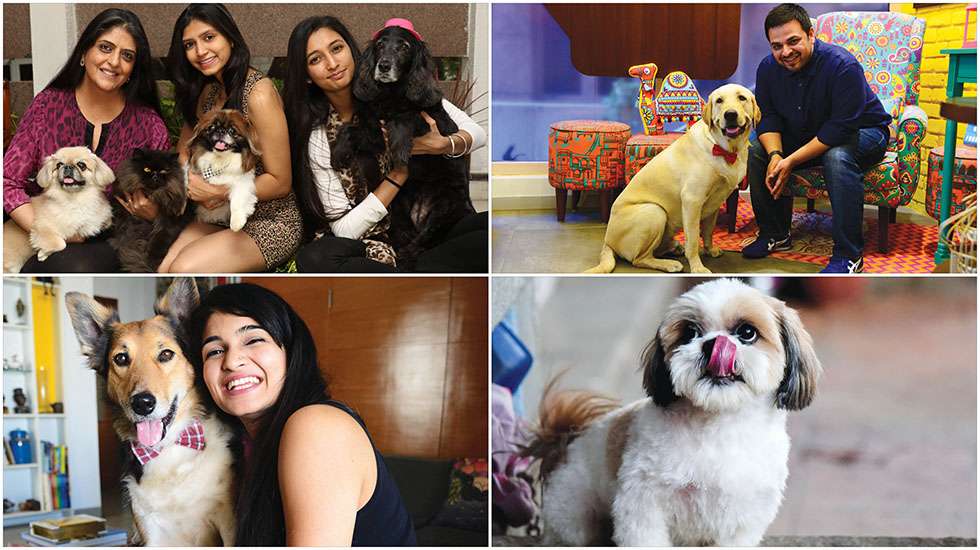 Petting Your Furry Babies RITZ