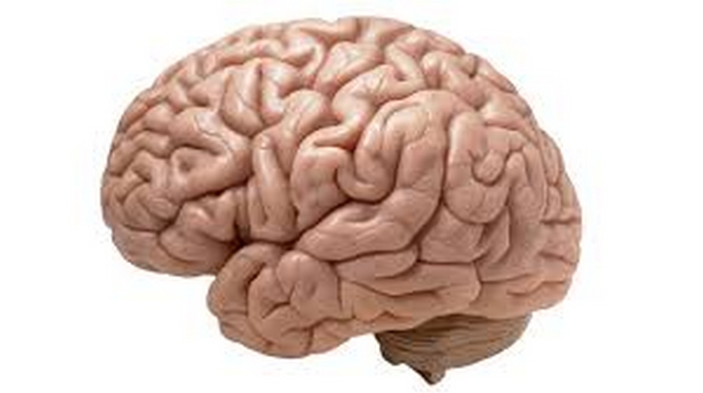 How our brain recalls events! | RITZ