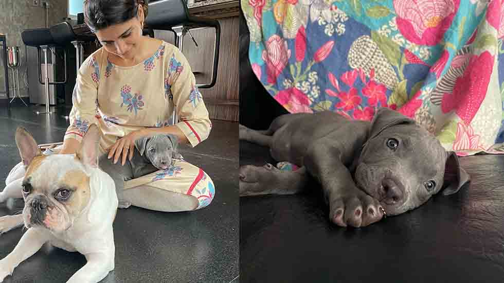 Samantha's love for her new pet Saasha | RITZ