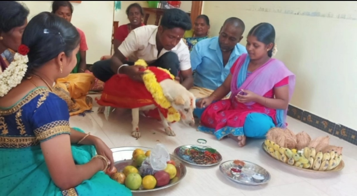 Family in Tamil Nadu throws baby shower for their pet dog RITZ